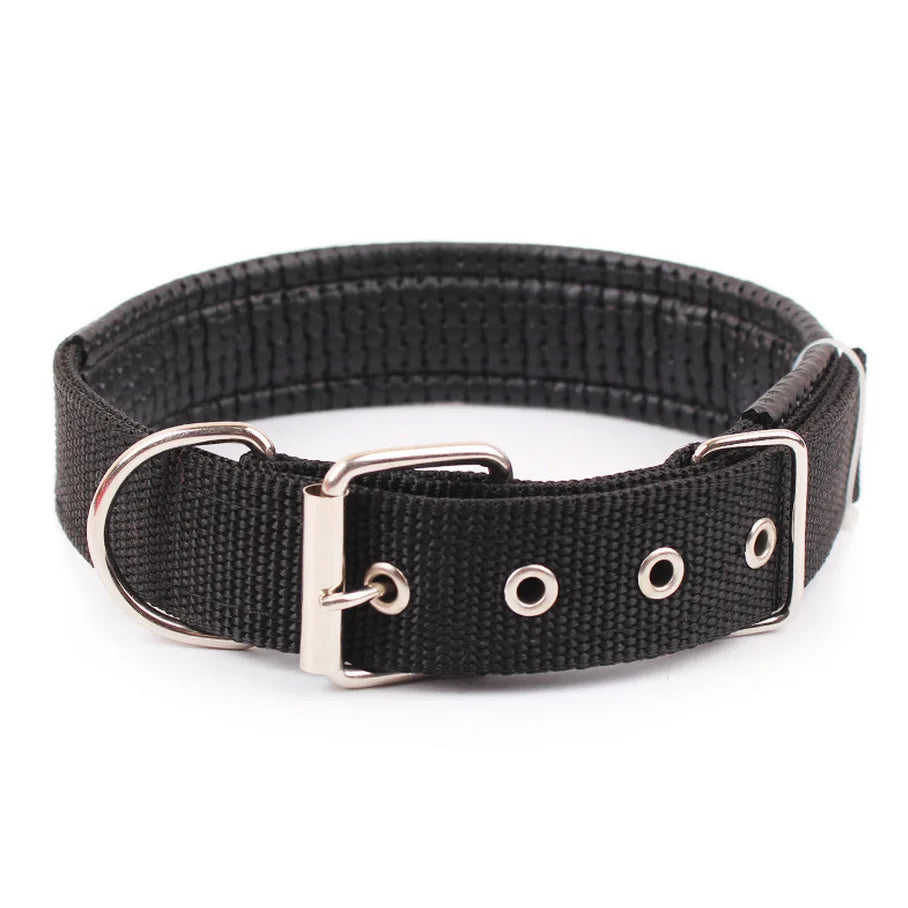 Rugged Nylon Dog Collar
