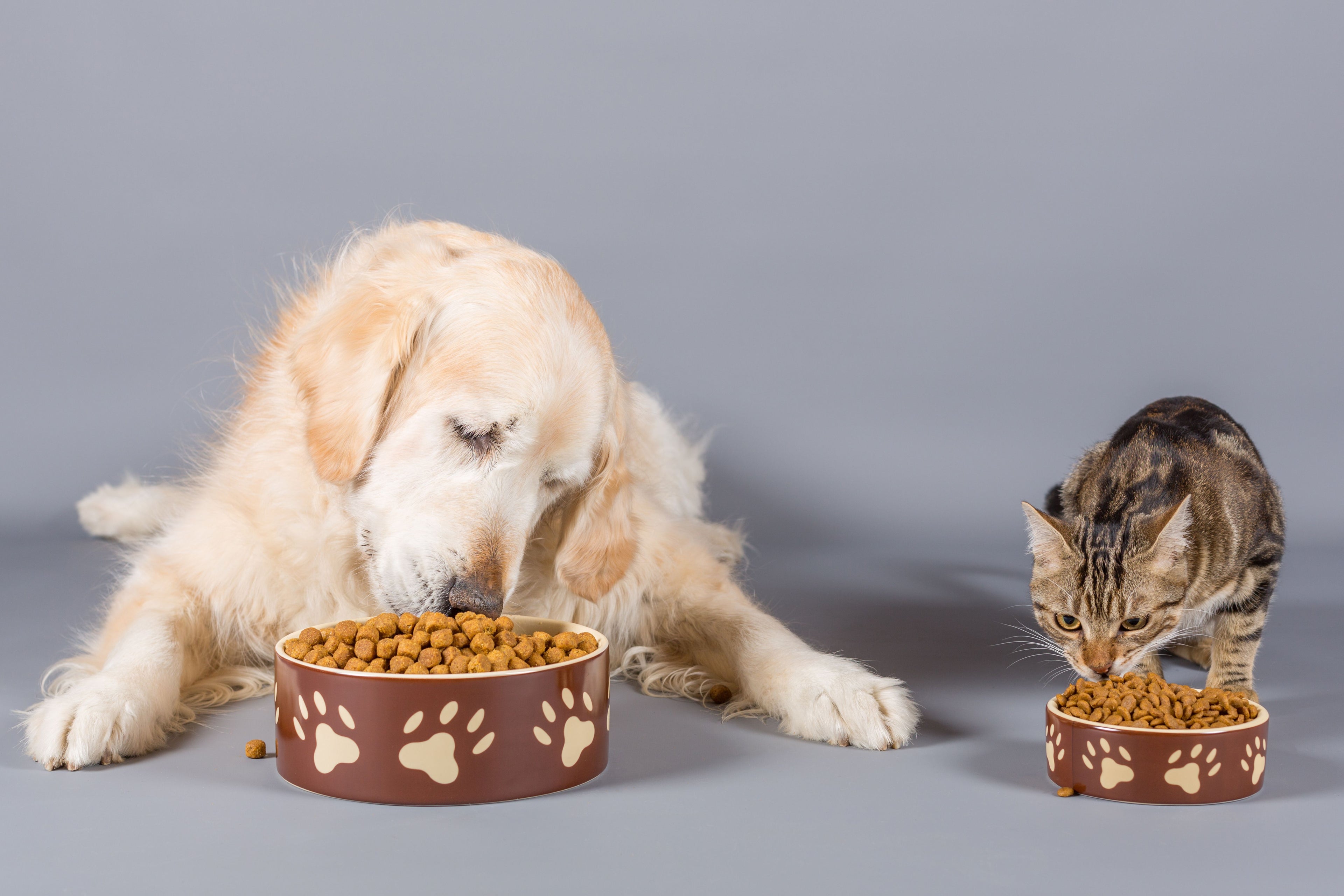 Feeding