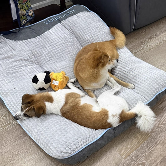 Orthopaedic Dog Bed