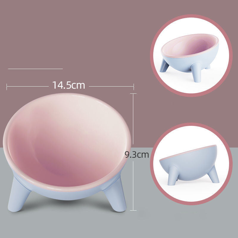 Tilted Pet Bowl with Stand