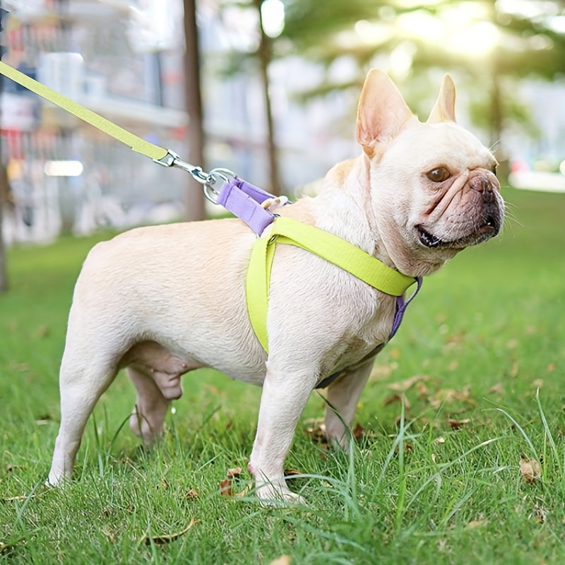 Rainbow Colourblock Dog Harness & Lead