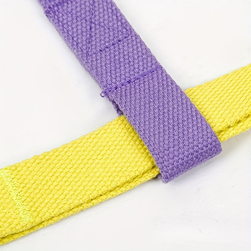 Rainbow Colourblock Dog Harness & Lead