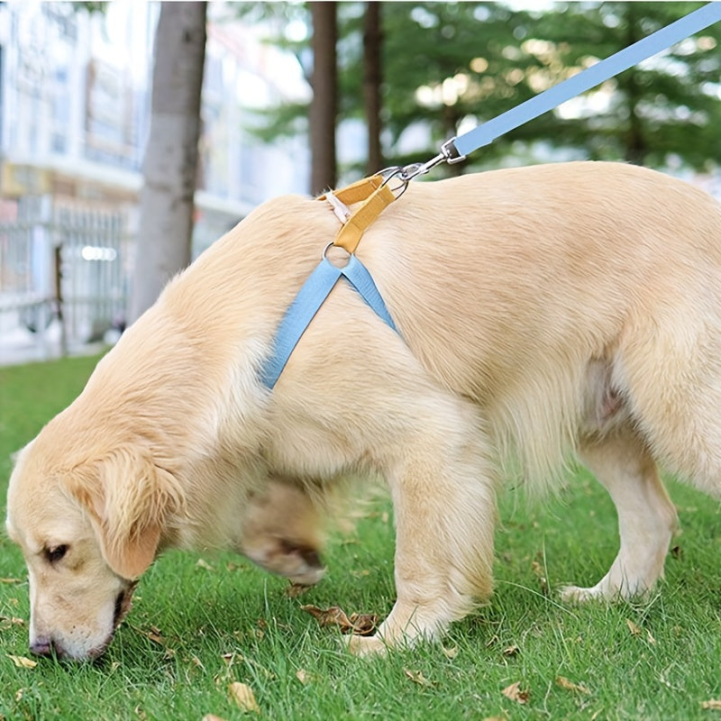 Rainbow Colourblock Dog Harness & Lead