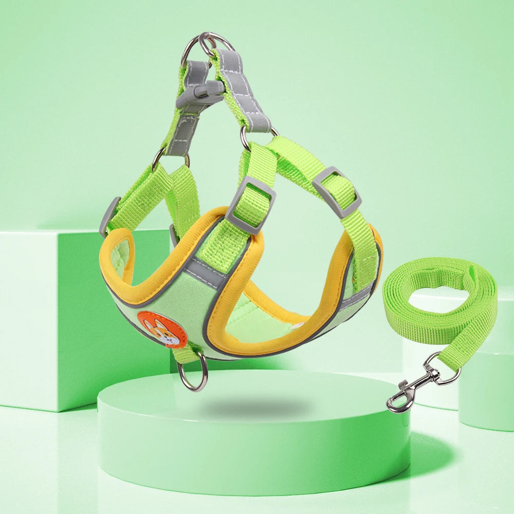 No-Pull Dog Harness & Lead Set
