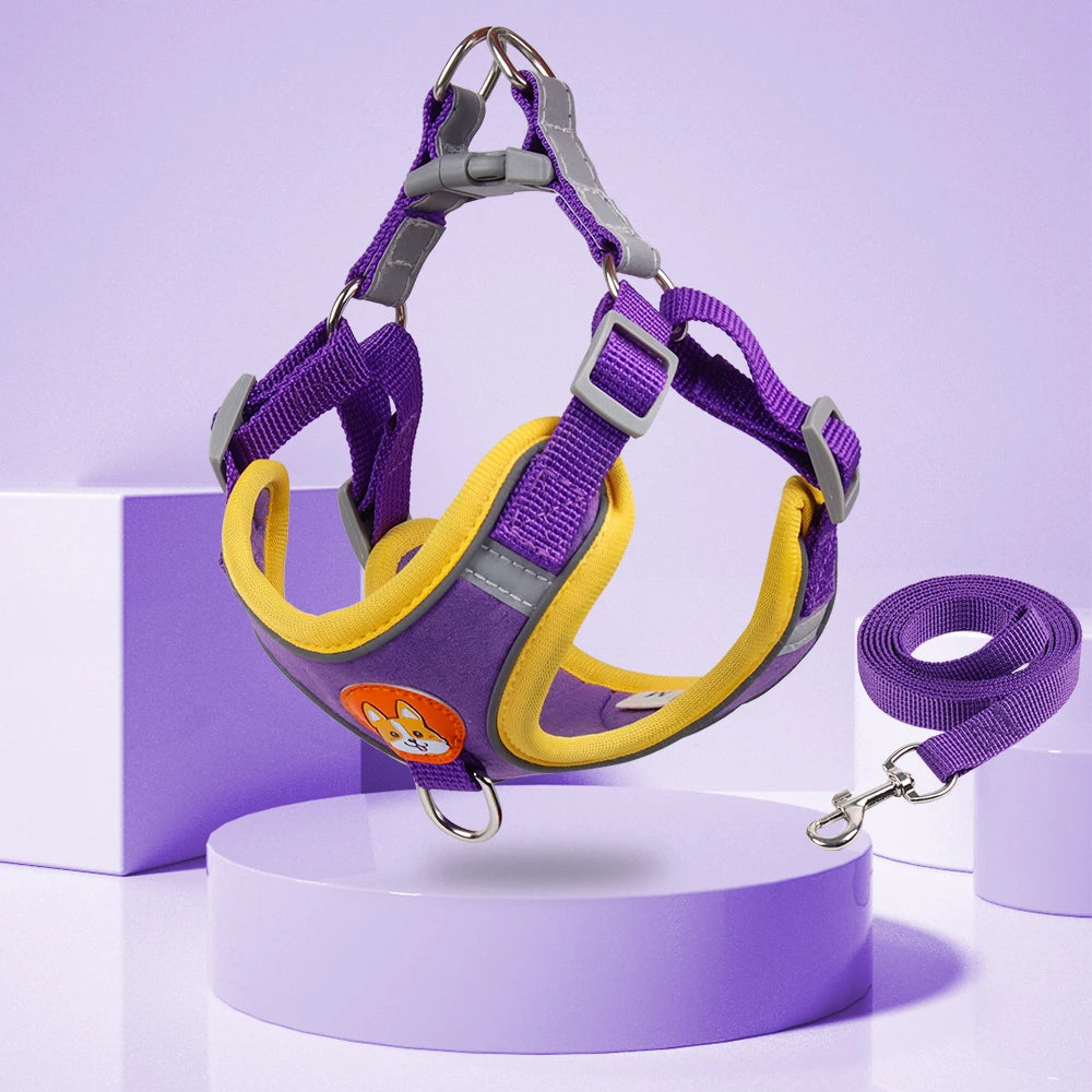No-Pull Dog Harness & Lead Set