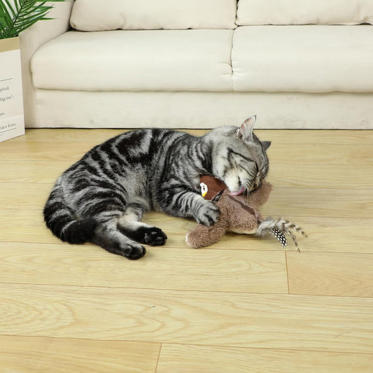 Flapping Bird Cat Toy 