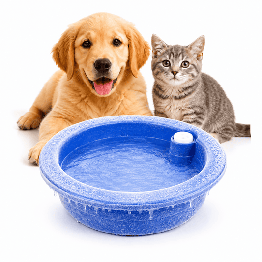 Cooling Bowl — Freeze-Activated