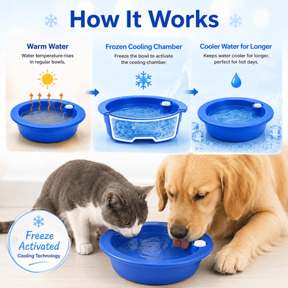Cooling Bowl — Freeze-Activated