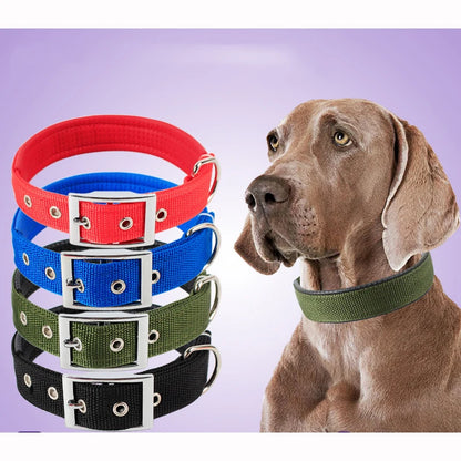 Rugged Nylon Dog Collar