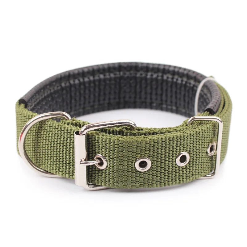 Rugged Nylon Dog Collar
