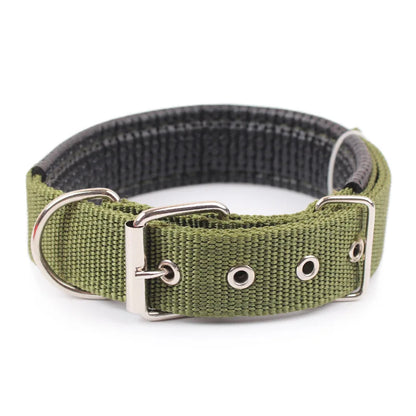 Rugged Nylon Dog Collar