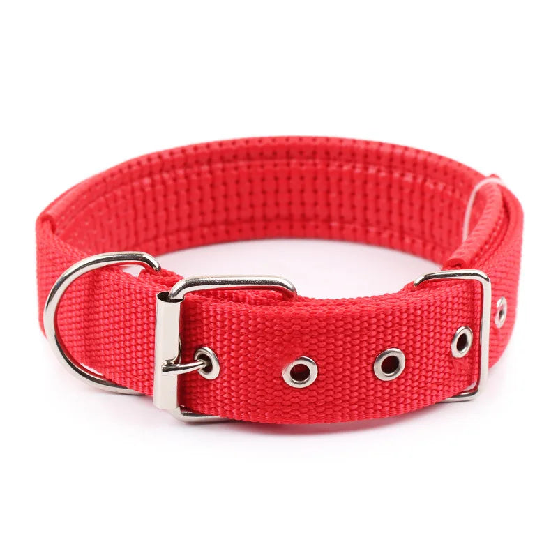 Rugged Nylon Dog Collar