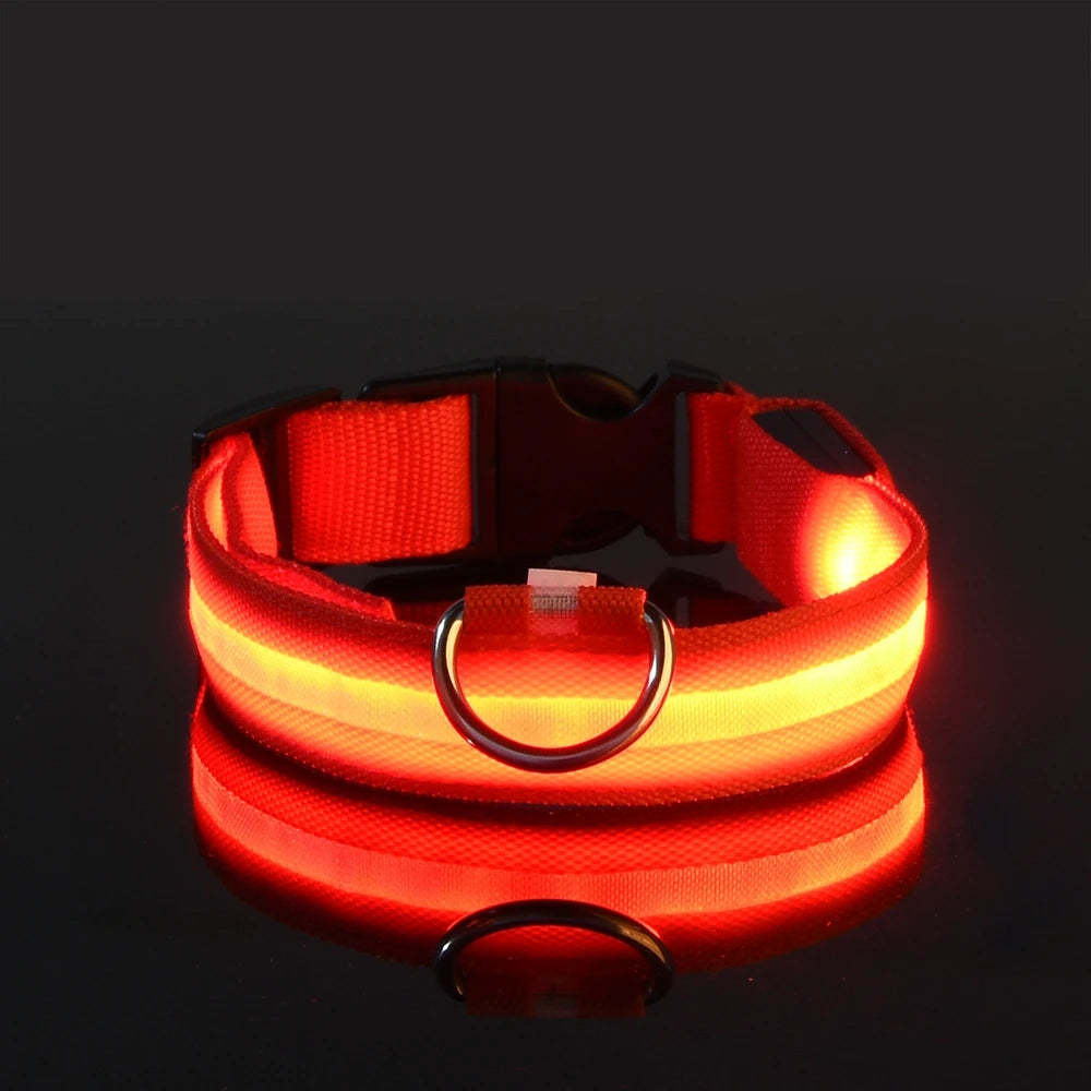 Nylon LED Night Safety Flashing Glow In The Dark Dog Fluorescent Pet Dog Collar