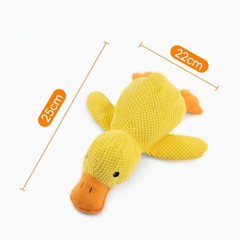 Dog Toys, Squeak Toy, Interactive plush pet toy
