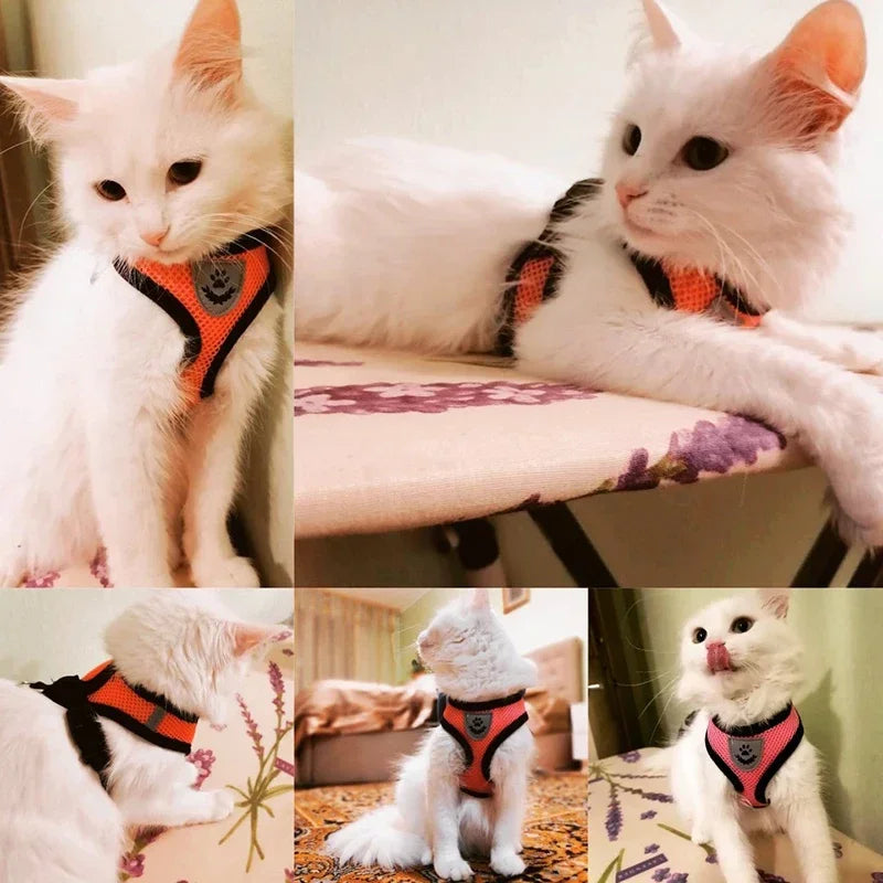Cat and Puppy Adjustable Mesh Dog Harness For Small Pets
