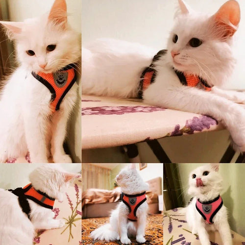 Cat and Puppy Adjustable Mesh Dog Harness For Small Pets