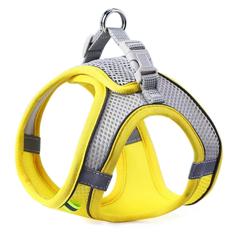 Harness Vest, Reflective Colourful and Comfortable, For Small To Medium Dogs and Cats