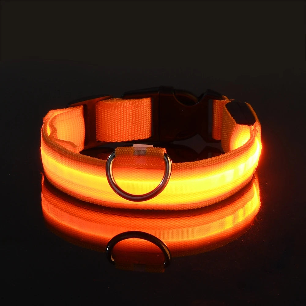 Nylon LED Night Safety Flashing Glow In The Dark Dog Fluorescent Pet Dog Collar