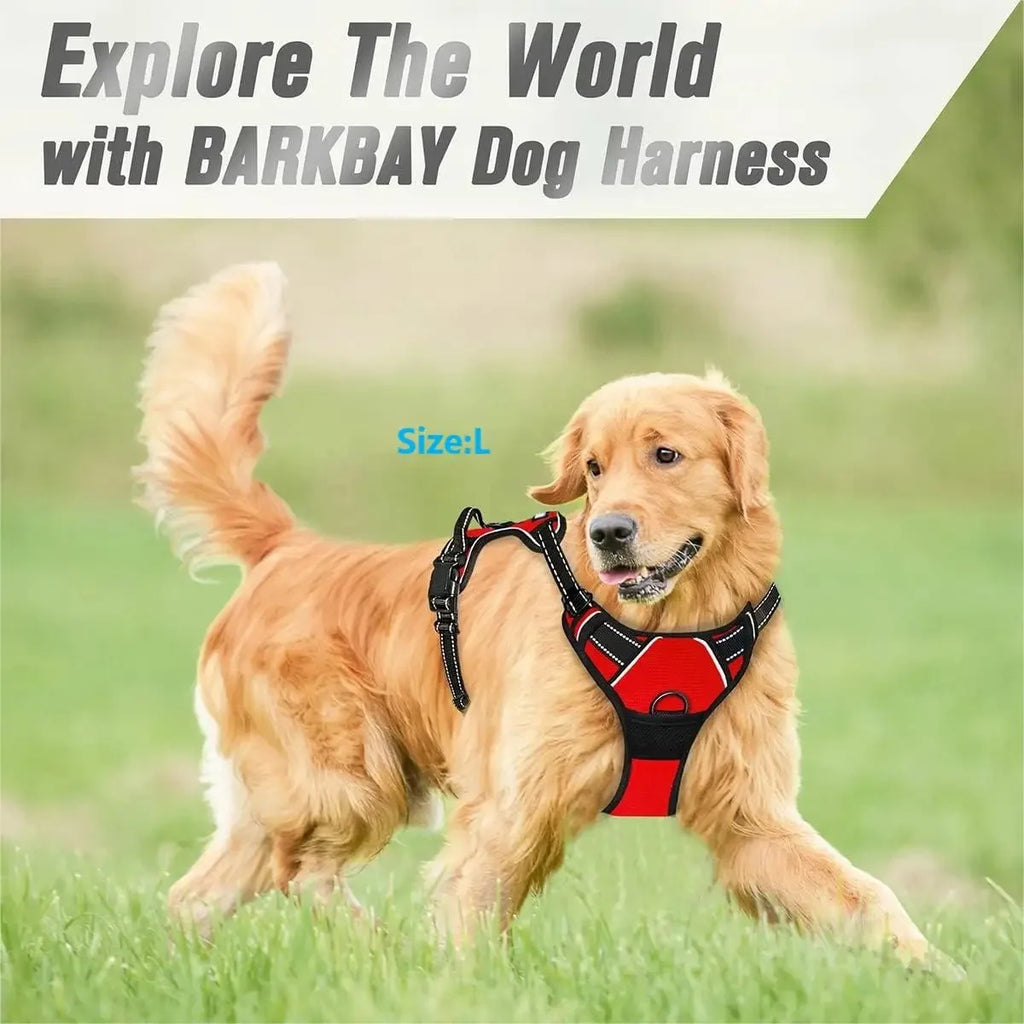 Dog Harness, Sturdy Design With Top Handle, All Weathers