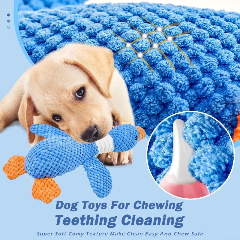 Dog Toys, Squeak Toy, Interactive plush pet toy