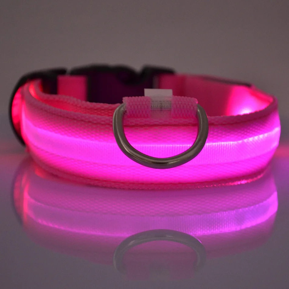 Nylon LED Night Safety Flashing Glow In The Dark Dog Fluorescent Pet Dog Collar