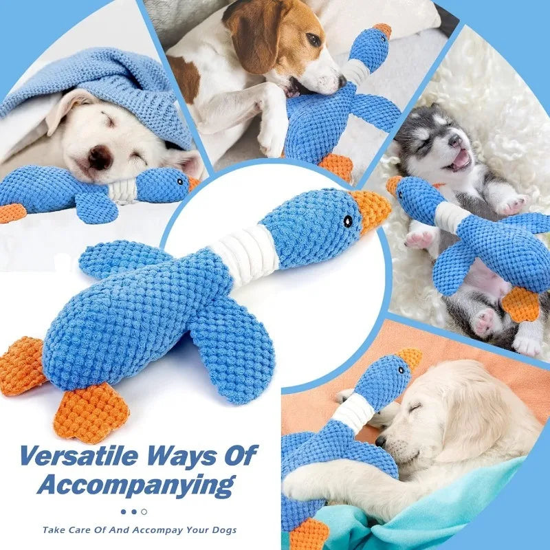 Dog Toys, Squeak Toy, Interactive plush pet toy