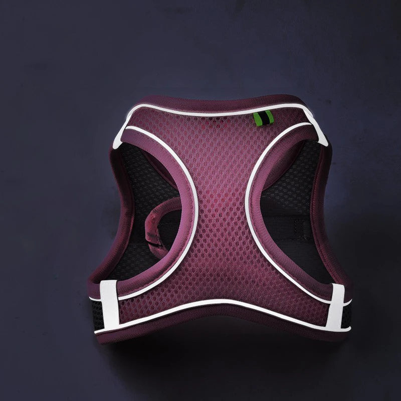 Harness Vest, Reflective Colourful and Comfortable, For Small To Medium Dogs and Cats