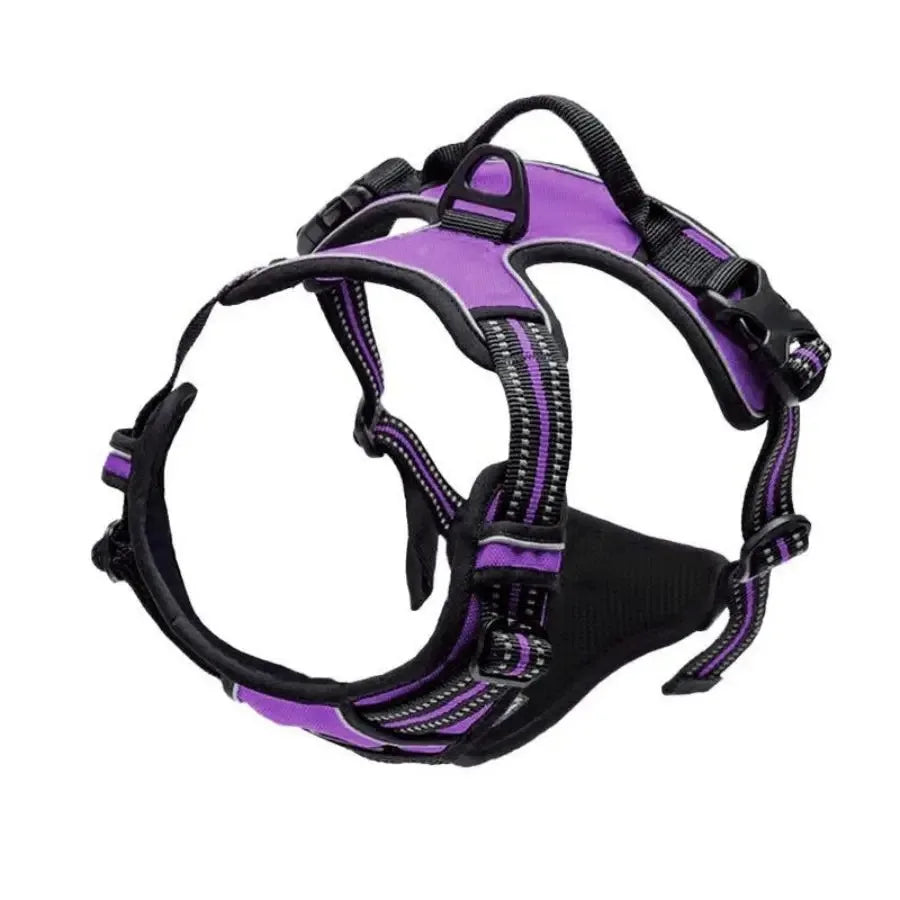 Dog Harness, Sturdy Design With Top Handle, All Weathers