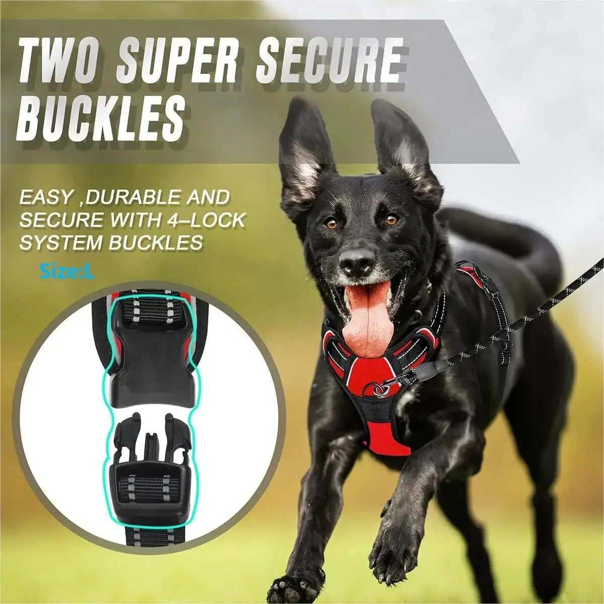 Dog Harness, Sturdy Design With Top Handle, All Weathers