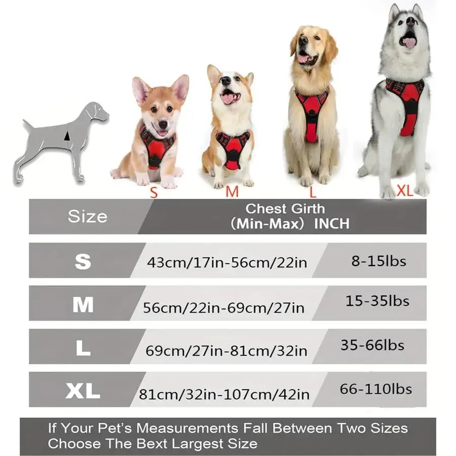 Dog Harness, Sturdy Design With Top Handle, All Weathers