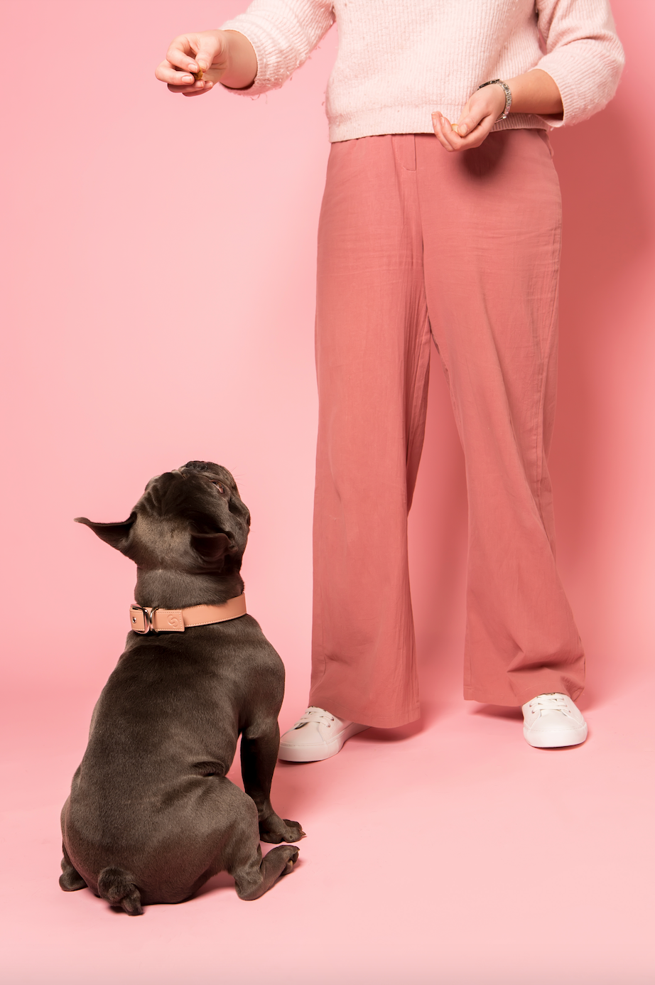 Blush pink vegan apple leather dog collar