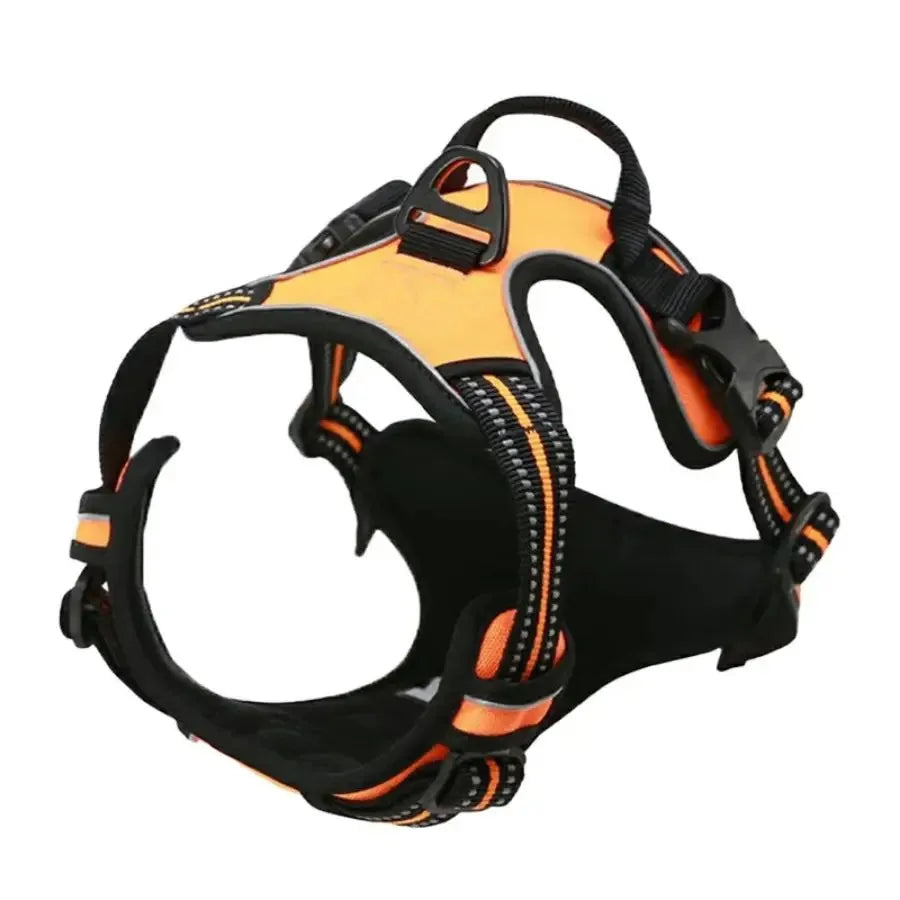 Dog Harness, Sturdy Design With Top Handle, All Weathers