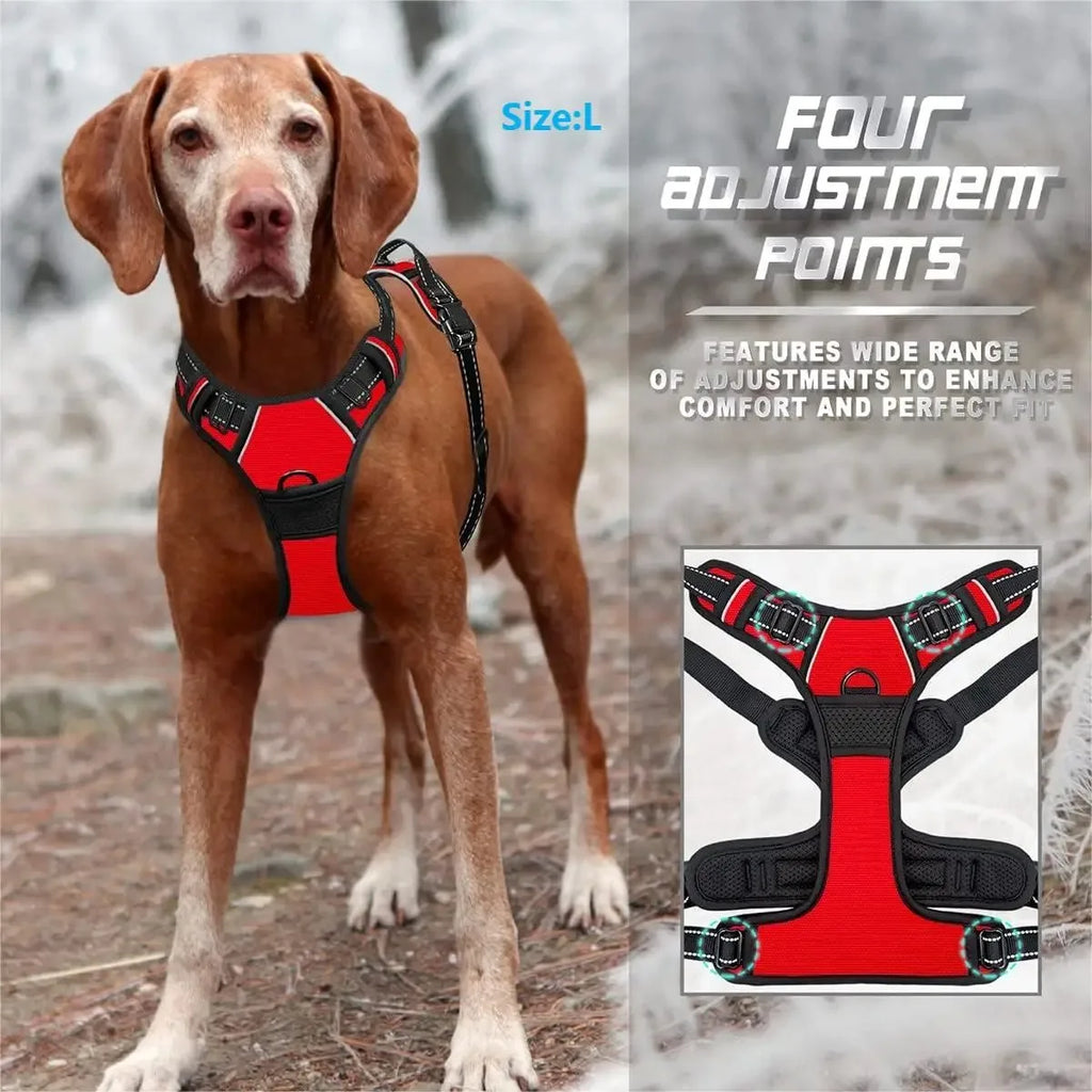 Dog Harness, Sturdy Design With Top Handle, All Weathers