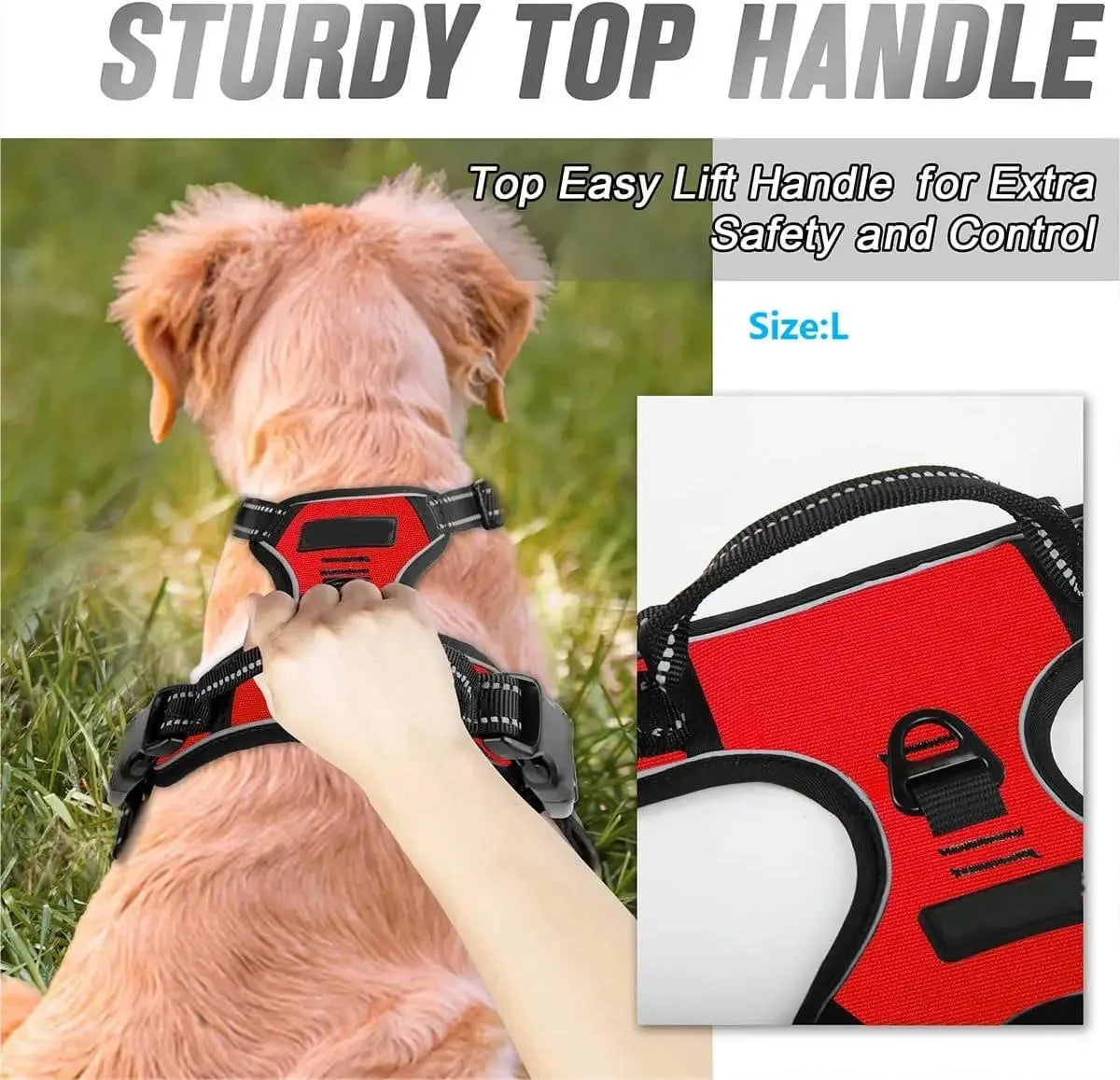 Dog Harness, Sturdy Design With Top Handle, All Weathers