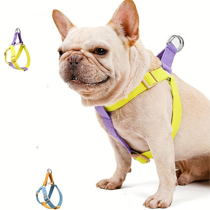 Rainbow Colourblock Dog Harness & Lead