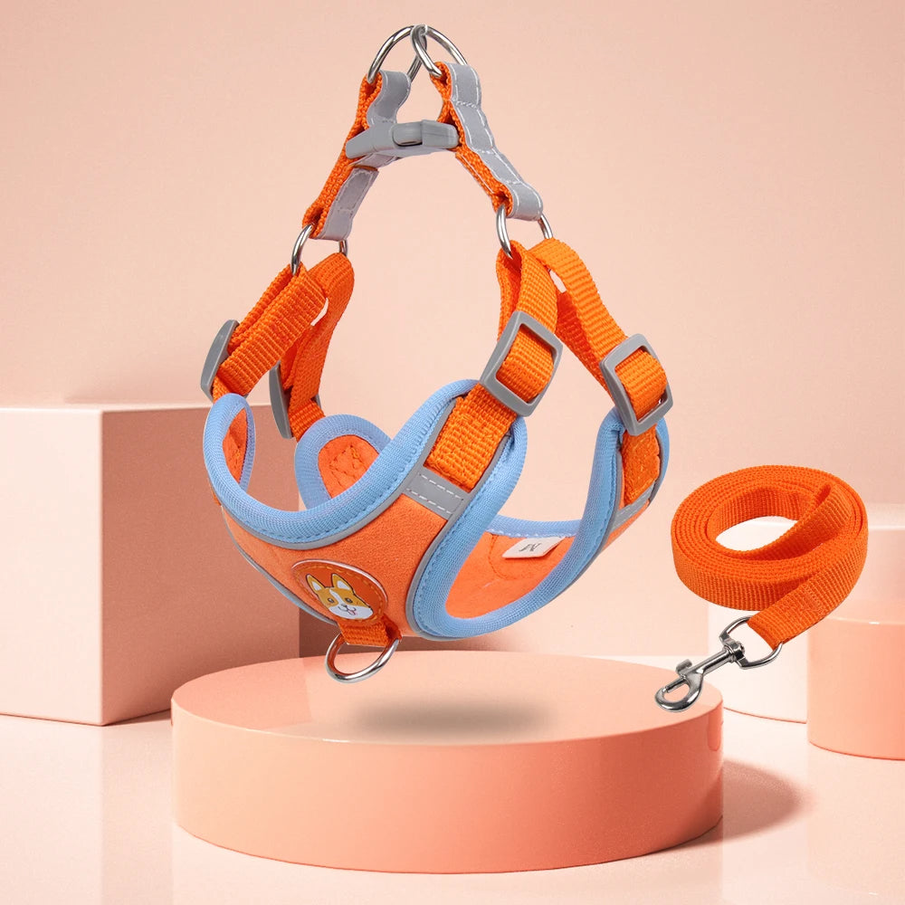 No-Pull Dog Harness & Lead Set