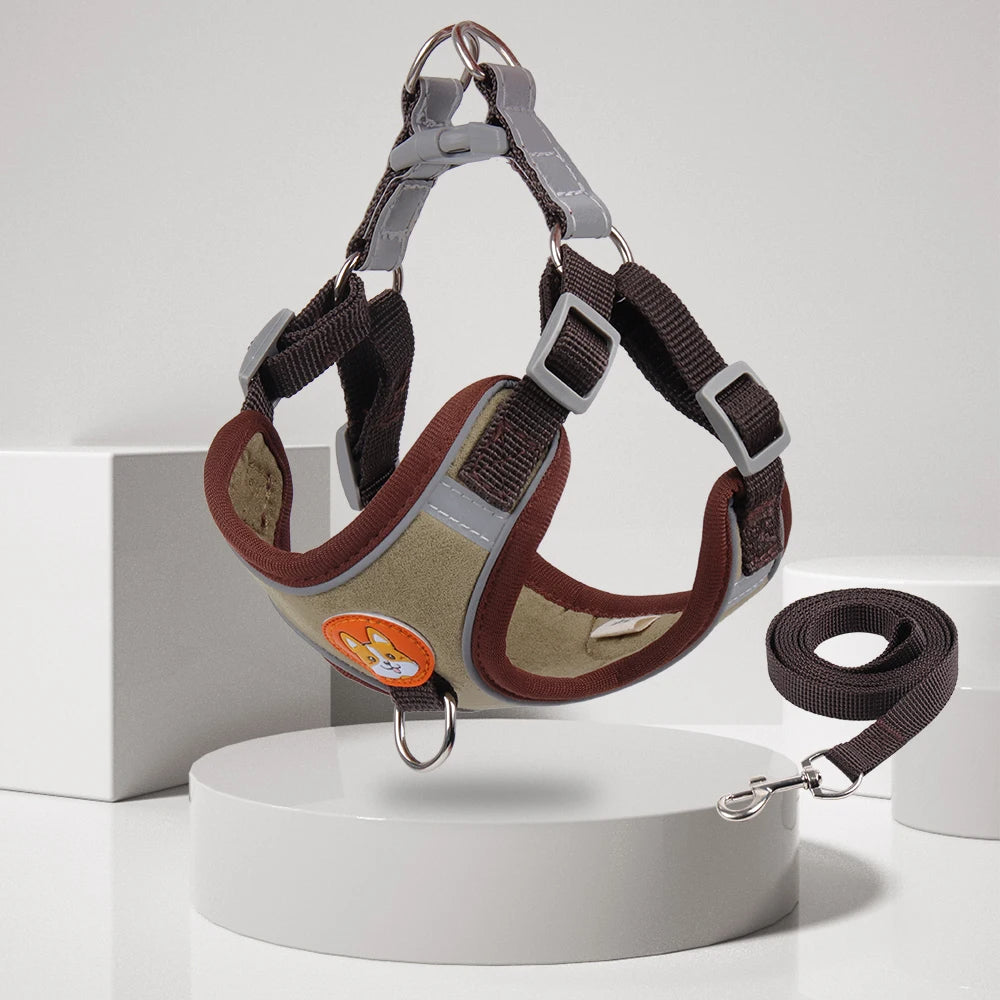 No-Pull Dog Harness & Lead Set