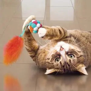 KONG Active Bubble Ball Interactive Cat Toy