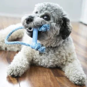 KONG Puppy Goodie Bone with Rope Treat Dispensing Dog Toy