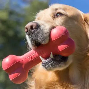 KONG Goodie Bone Treat Dispensing Dog Toy - Medium