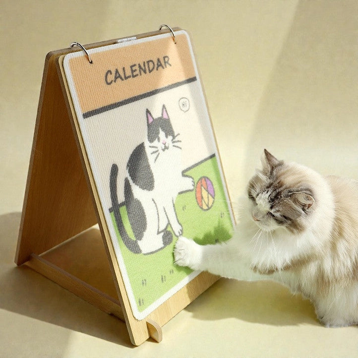 Cat Calendar Scratching Board