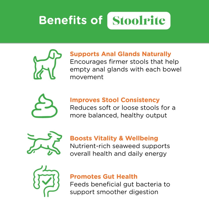 Stoolrite Organic Gut Health For Dogs