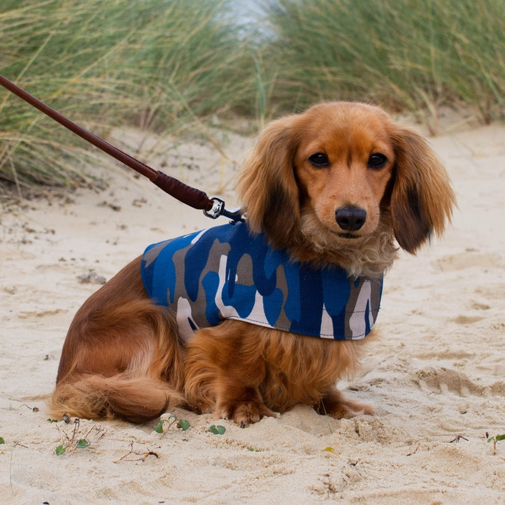 Organic Cotton Dog Harness featuring a dachshund wearing a blue/grey camouflage design outdoors.