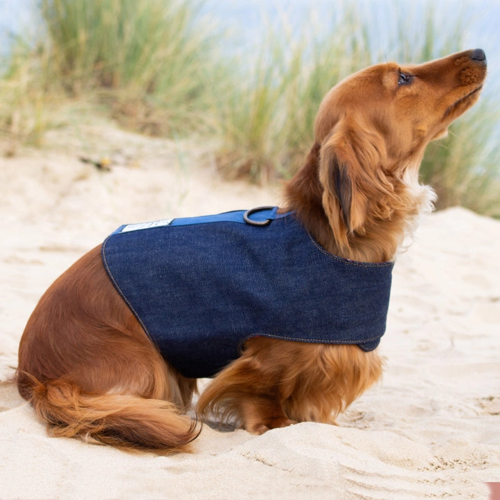 Reversible Organic Cotton Dog Harness - the Melrose denim