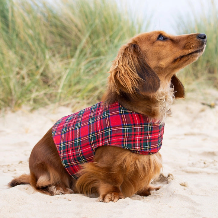 Reversible Organic Cotton Dog Harness - the Melrose tartan look