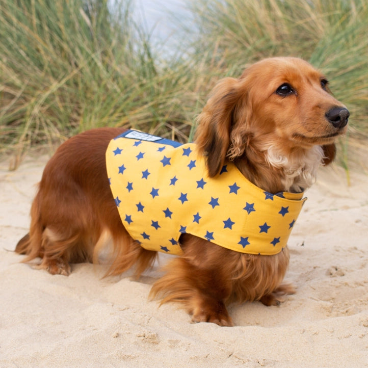 Reversible Organic Cotton Dog Harness