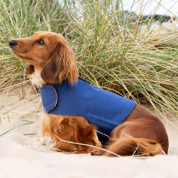 Reversible Organic Cotton Dog Harness