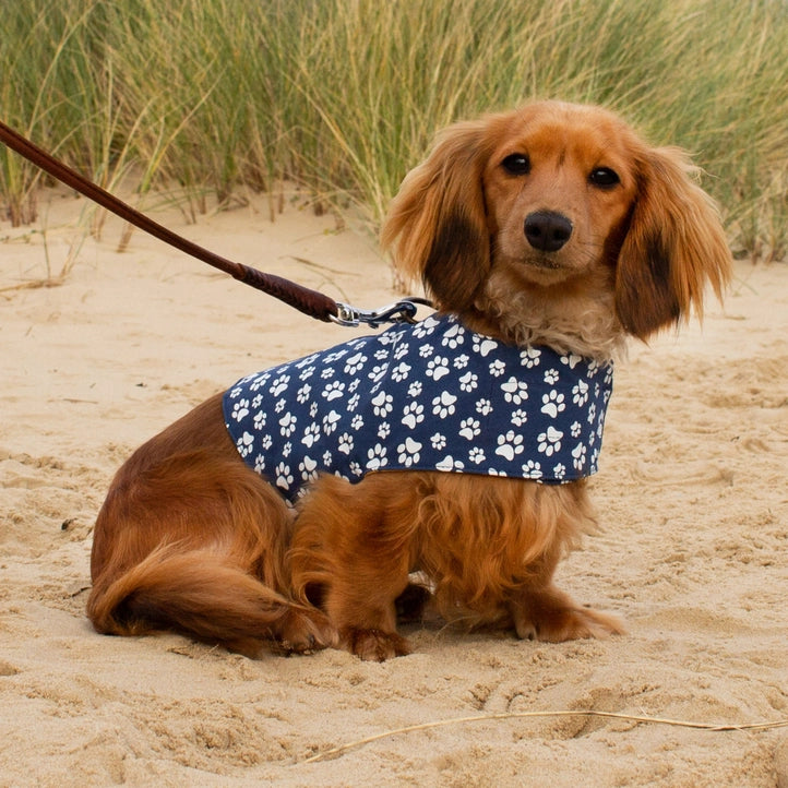 Reversible Organic Cotton Dog Harness - the York